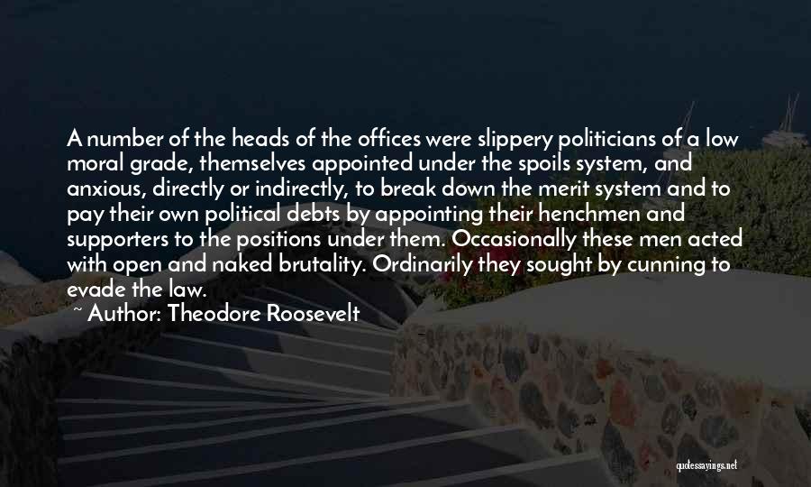 System Of Down Quotes By Theodore Roosevelt