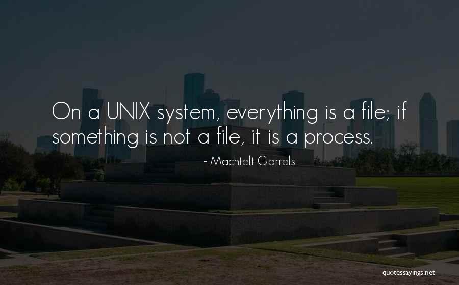 System Quotes By Machtelt Garrels