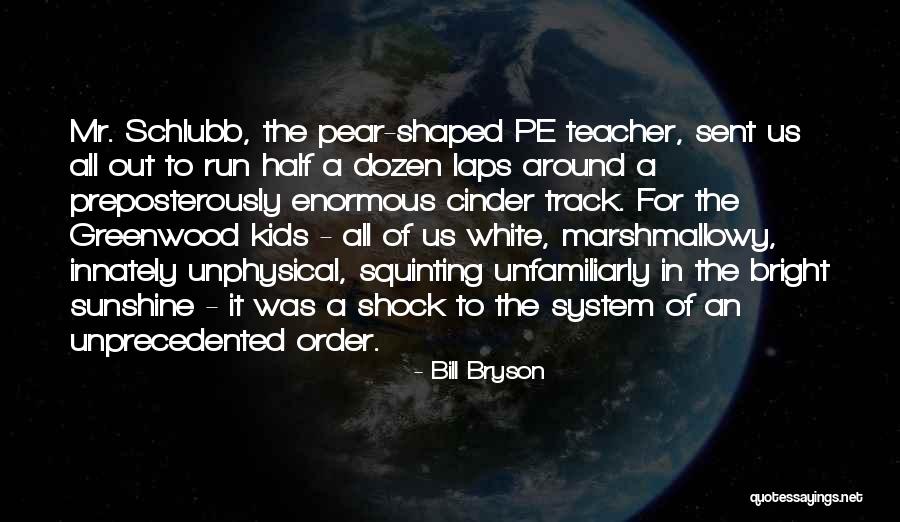 System Shock Quotes By Bill Bryson System Shock Quotes By Bill Bryson