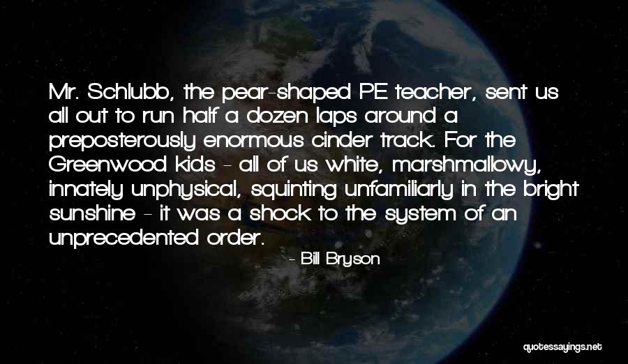 System Shock Quotes By Bill Bryson