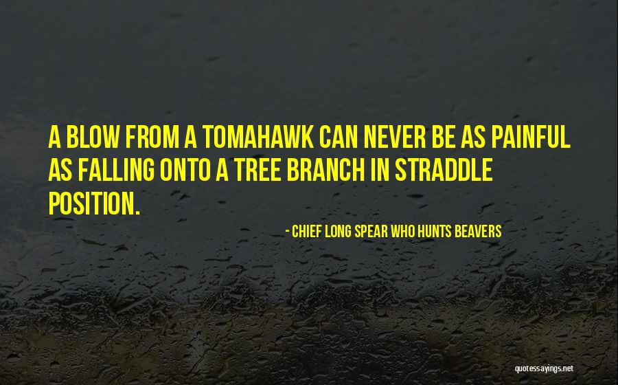 Systemizing Quotes By Chief Long Spear Who Hunts Beavers Systemizing Quotes By Chief Long Spear Who Hunts Beavers