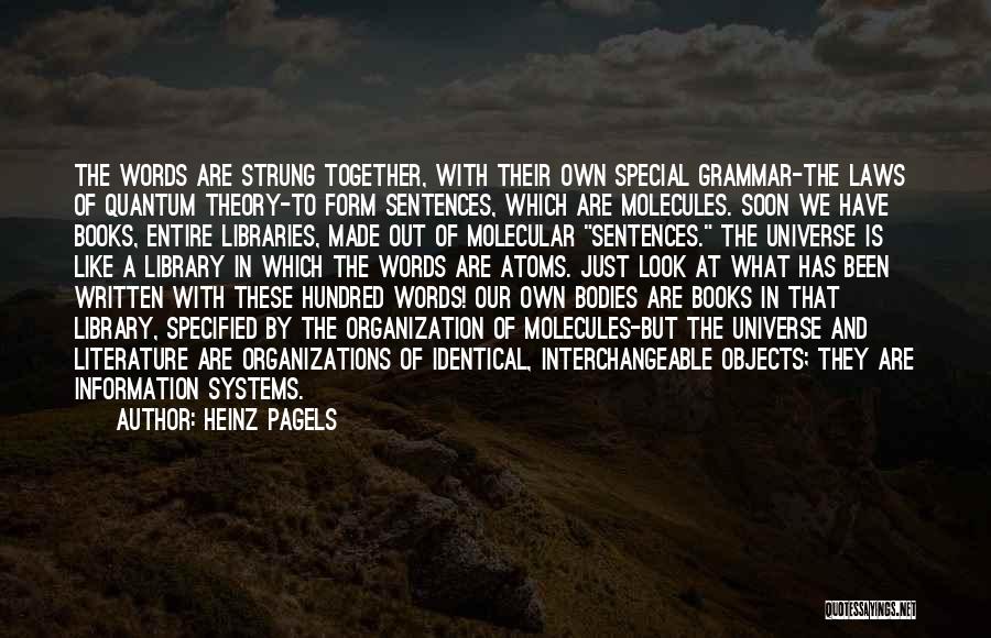 Systems Theory Quotes By Heinz Pagels