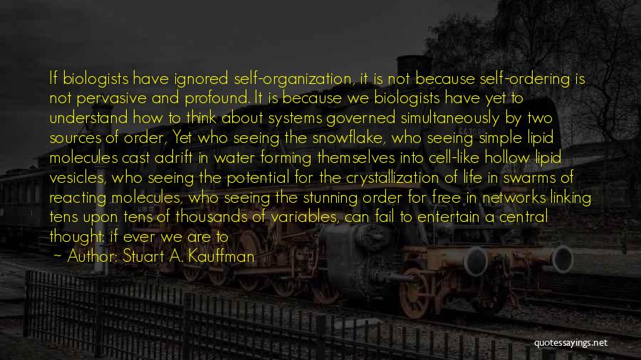Systems Theory Quotes By Stuart A. Kauffman