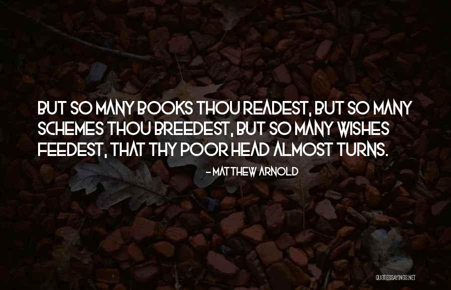 Sz Wholesale Quotes By Matthew Arnold Sz Wholesale Quotes By Matthew Arnold