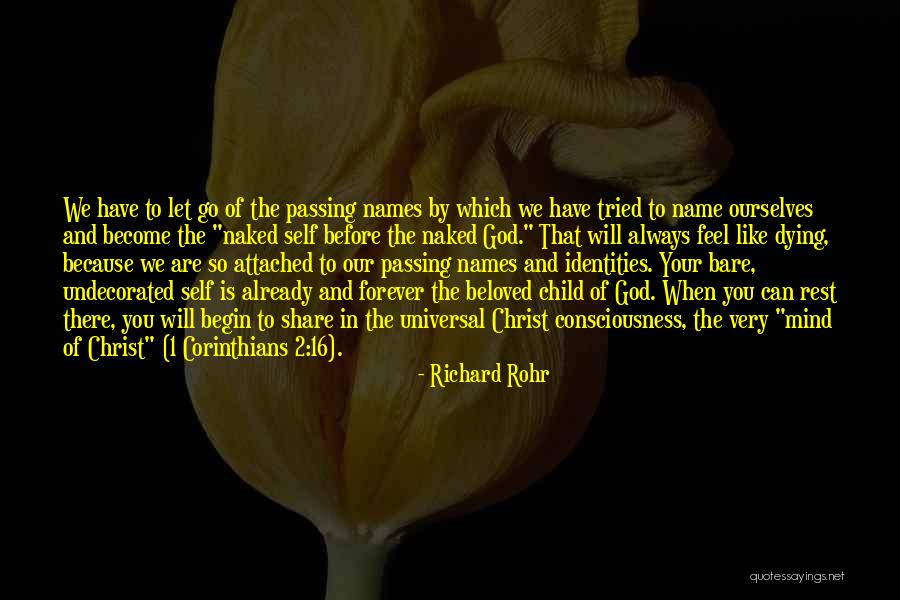 Szarek Greenhouses Quotes By Richard Rohr Szarek Greenhouses Quotes By Richard Rohr