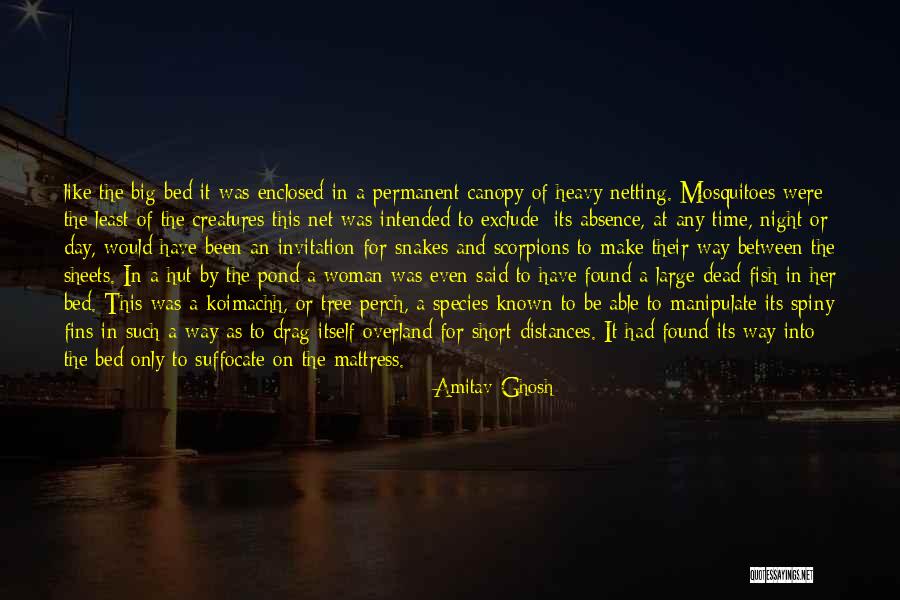 Szavak Sz Faja Quotes By Amitav Ghosh Szavak Sz Faja Quotes By Amitav Ghosh