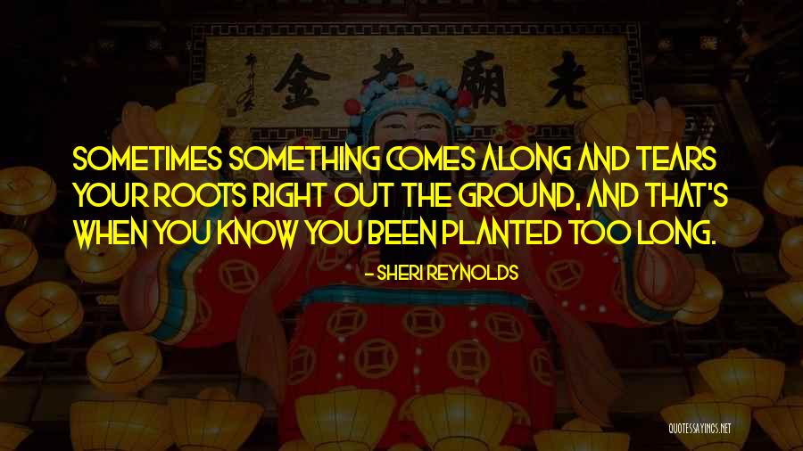Szczesny Smoking Quotes By Sheri Reynolds Szczesny Smoking Quotes By Sheri Reynolds