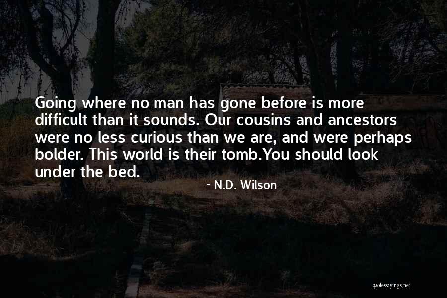 Szeldzsukok Quotes By N.D. Wilson Szeldzsukok Quotes By N.D. Wilson