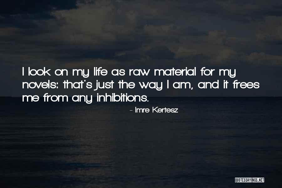 Szemkontaktus Quotes By Imre Kertesz Szemkontaktus Quotes By Imre Kertesz