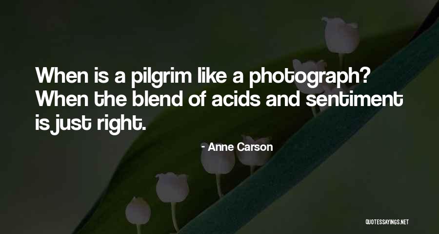 Szemnyom S Quotes By Anne Carson Szemnyom S Quotes By Anne Carson