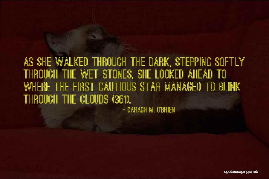 Szerelemre Hangolva Quotes By Caragh M. O'Brien Szerelemre Hangolva Quotes By Caragh M. O'Brien