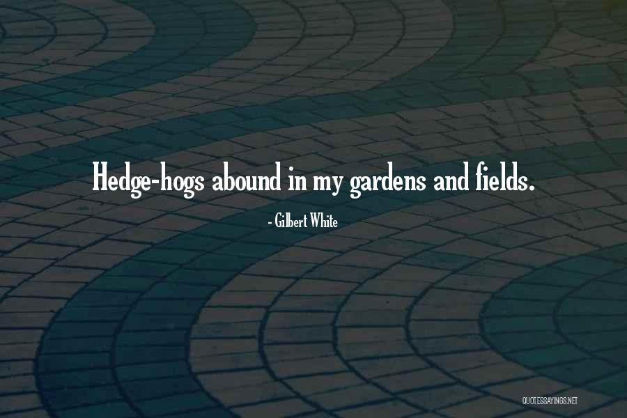Szeretlek Quotes By Gilbert White Szeretlek Quotes By Gilbert White