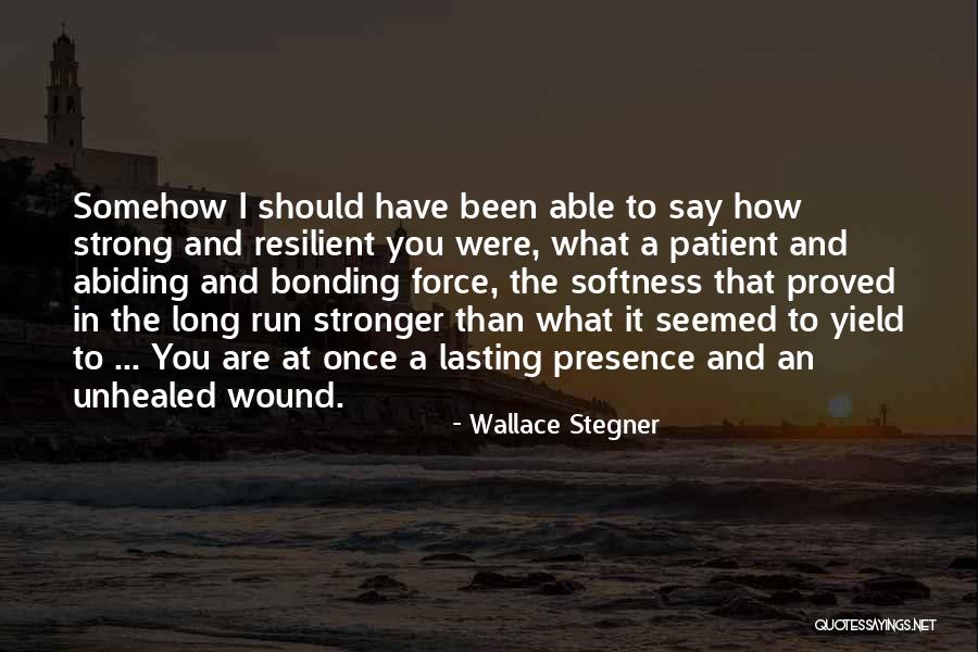 Szeretn L Quotes By Wallace Stegner Szeretn L Quotes By Wallace Stegner