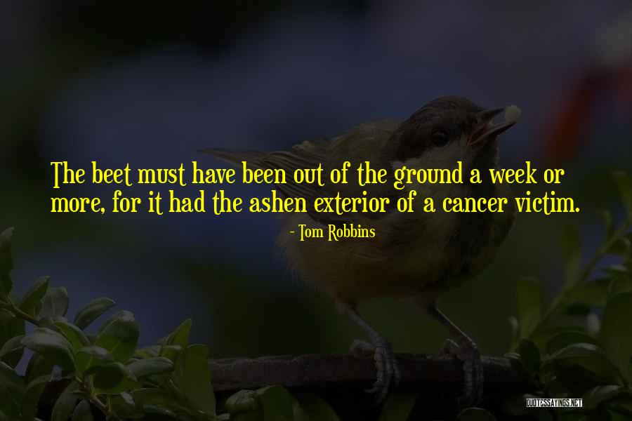 Szeretsz Szopni Quotes By Tom Robbins Szeretsz Szopni Quotes By Tom Robbins