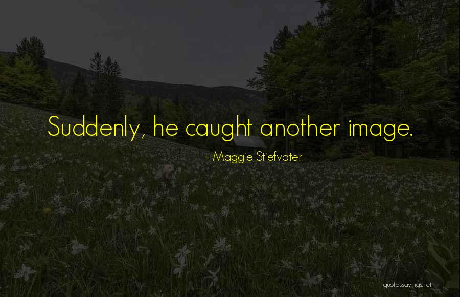 Szeth Quotes By Maggie Stiefvater Szeth Quotes By Maggie Stiefvater