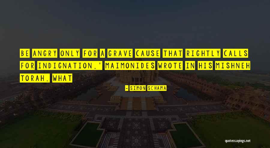 Szilvay Gergely Quotes By Simon Schama Szilvay Gergely Quotes By Simon Schama