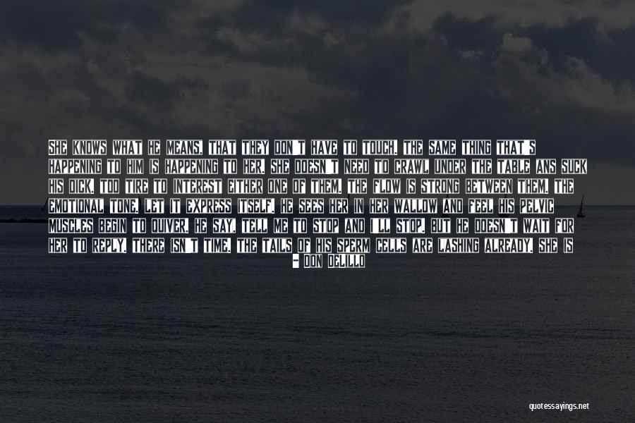 Szir Nyi Istv N Quotes By Don DeLillo Szir Nyi Istv N Quotes By Don DeLillo