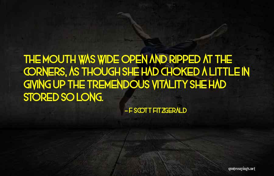 Szjt T Rv Ny Quotes By F Scott Fitzgerald Szjt T Rv Ny Quotes By F Scott Fitzgerald