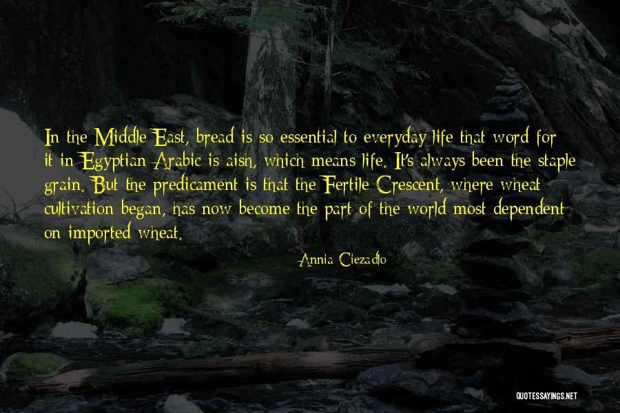 Szleng Quotes By Annia Ciezadlo Szleng Quotes By Annia Ciezadlo