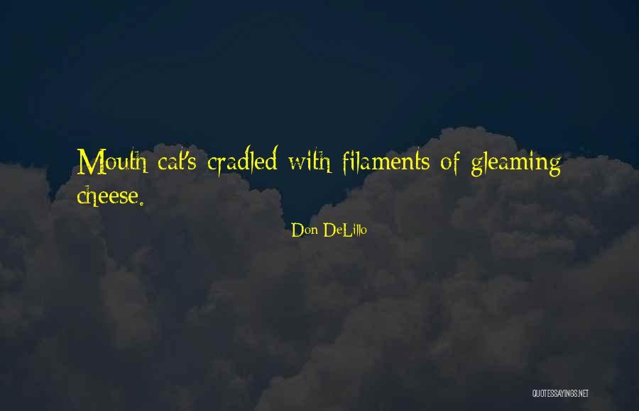 Sznaucer Quotes By Don DeLillo Sznaucer Quotes By Don DeLillo