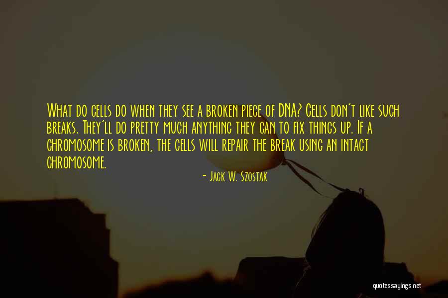Szostak Quotes By Jack W. Szostak Szostak Quotes By Jack W. Szostak