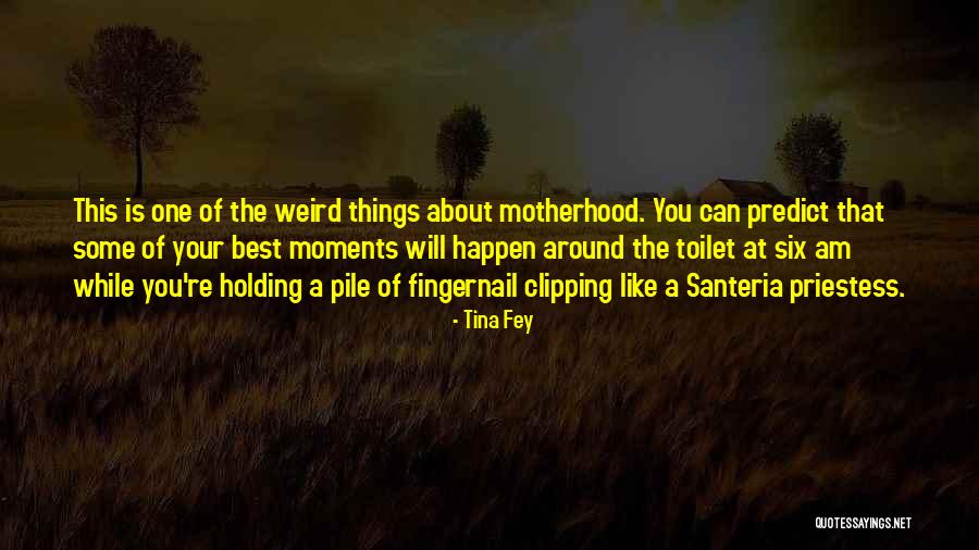 Szpinak Quotes By Tina Fey Szpinak Quotes By Tina Fey