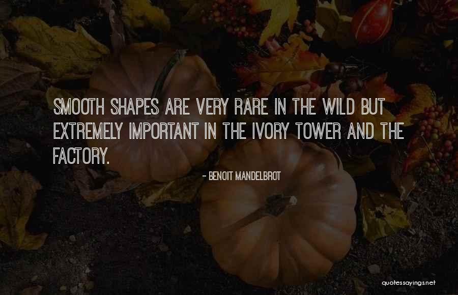 Szrenica Quotes By Benoit Mandelbrot Szrenica Quotes By Benoit Mandelbrot