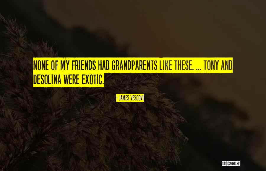 Szrt Quotes By James Vescovi Szrt Quotes By James Vescovi