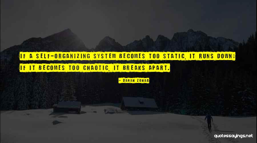 Sztanek G Bor Quotes By Danah Zohar Sztanek G Bor Quotes By Danah Zohar