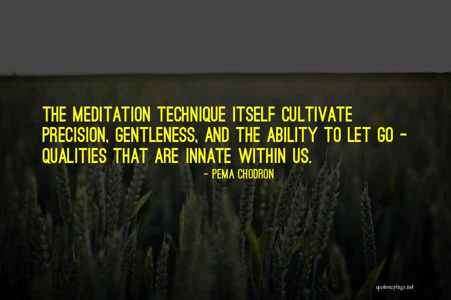 Sztevanovity Zolt N Quotes By Pema Chodron Sztevanovity Zolt N Quotes By Pema Chodron