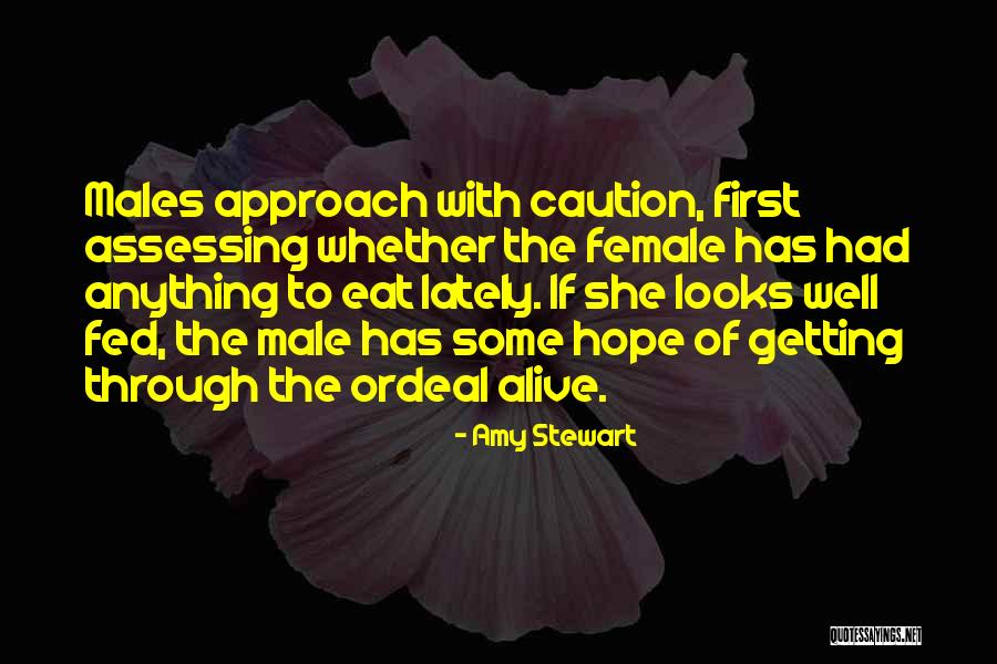 Sztojka Tibi Quotes By Amy Stewart Sztojka Tibi Quotes By Amy Stewart