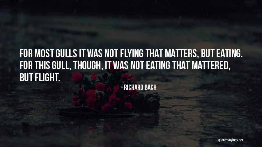 Szulewski Patino Quotes By Richard Bach Szulewski Patino Quotes By Richard Bach