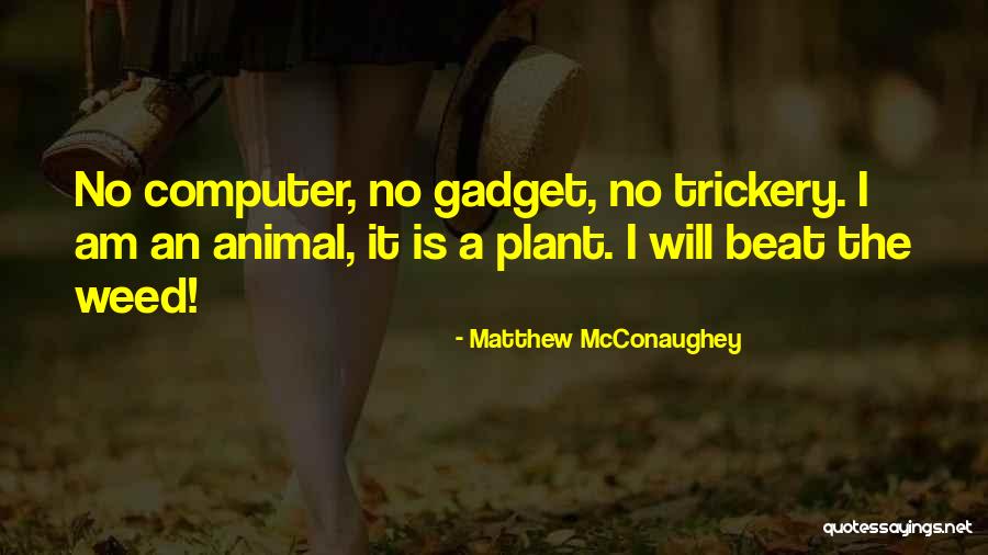 Szwedola Quotes By Matthew McConaughey Szwedola Quotes By Matthew McConaughey