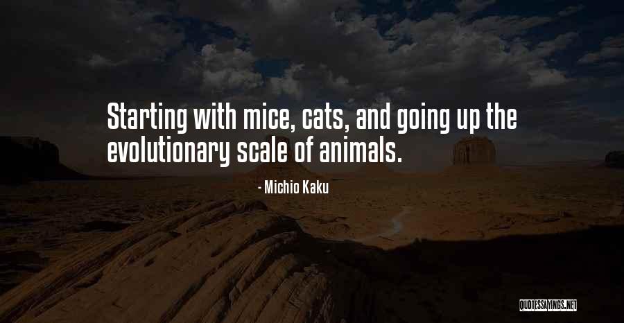 Szwejk Youtube Quotes By Michio Kaku Szwejk Youtube Quotes By Michio Kaku