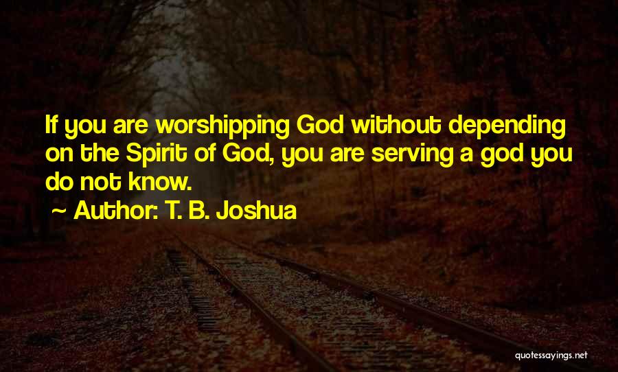 T. B. Joshua Quotes 1357381