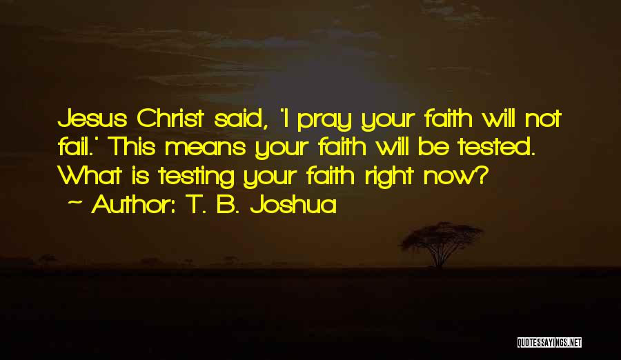 T. B. Joshua Quotes 551457