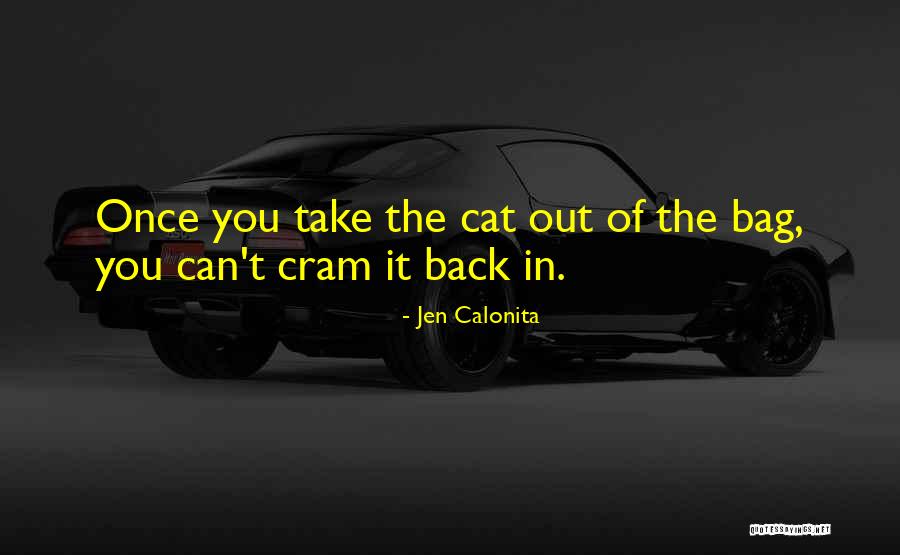 T Bag Quotes By Jen Calonita T Bag Quotes By Jen Calonita