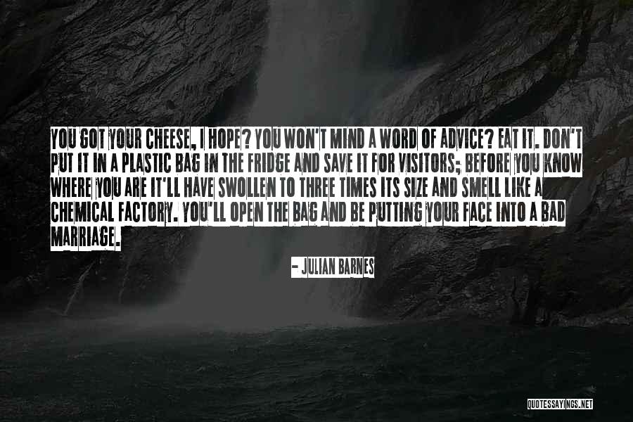 T Bag Quotes By Julian Barnes T Bag Quotes By Julian Barnes