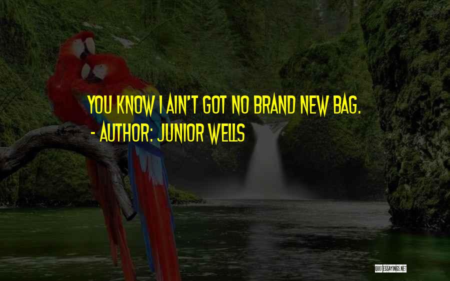 T Bags Quotes By Junior Wells