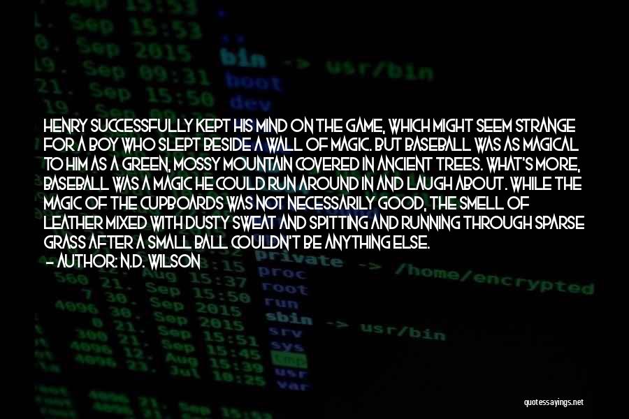 T Ball Baseball Quotes By N.D. Wilson