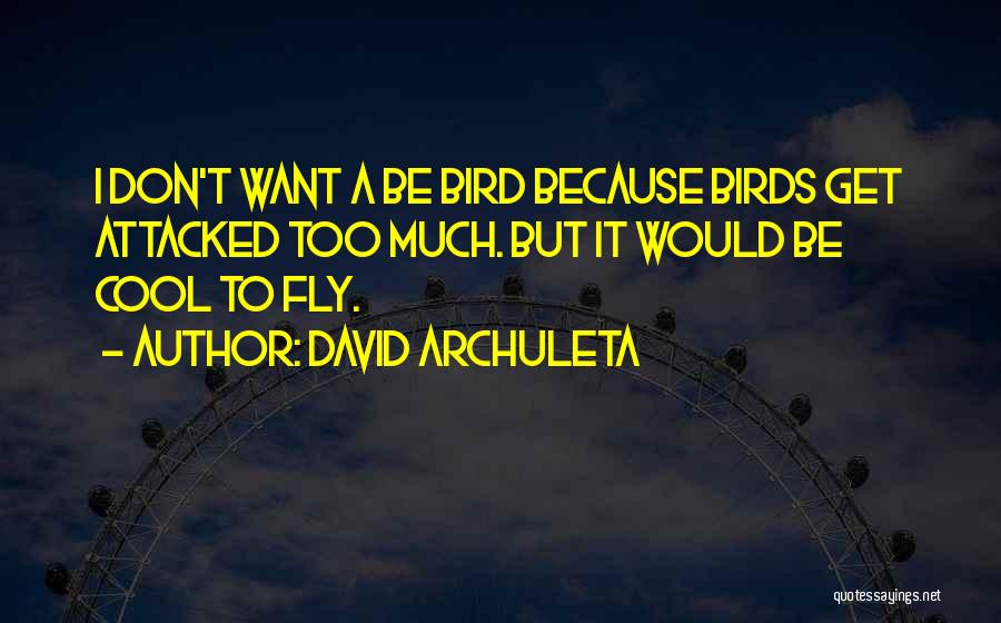 T Bird Quotes By David Archuleta