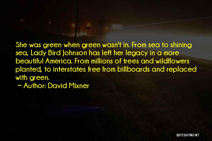 T Bird Quotes By David Mixner