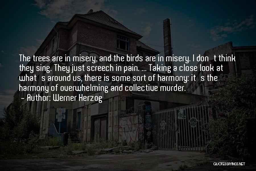 T Bird Quotes By Werner Herzog