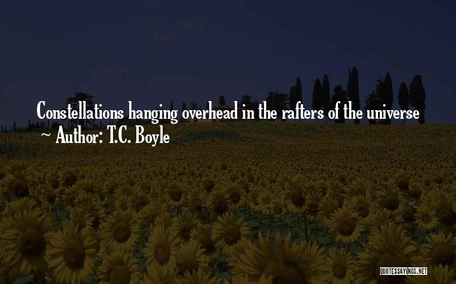 T.C. Boyle Quotes 167537