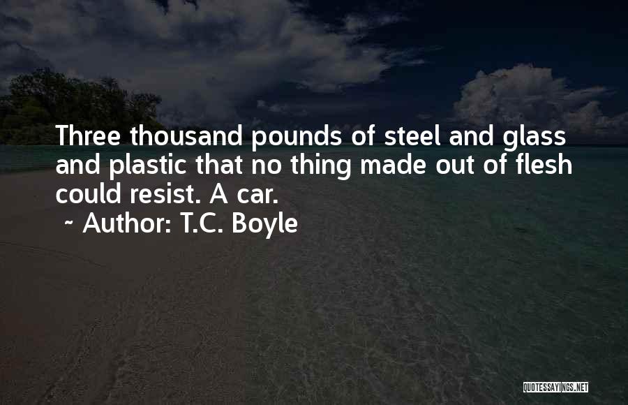 T.C. Boyle Quotes 1852893