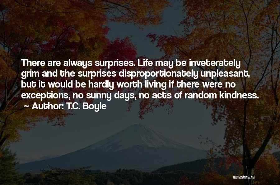 T.C. Boyle Quotes 1913867