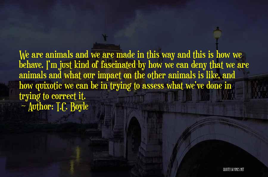 T.C. Boyle Quotes 2187060