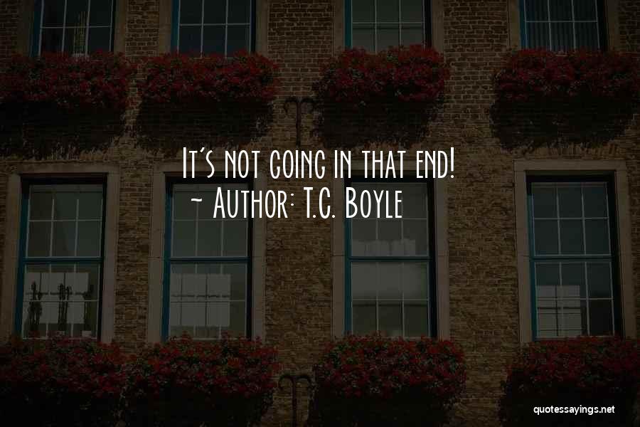 T.C. Boyle Quotes 624933