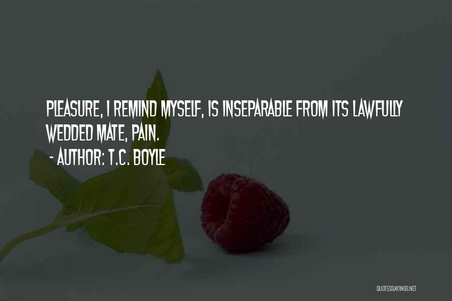 T.C. Boyle Quotes 963381