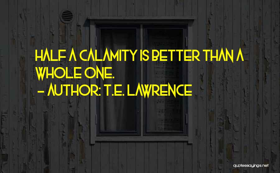 T.E. Lawrence Quotes 144632